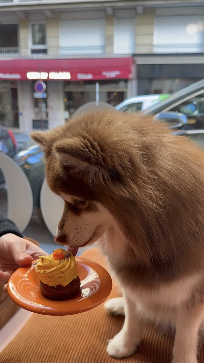 Umi découvrant une gourmandise