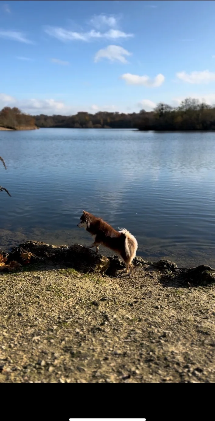 Umi au bord d’un lac